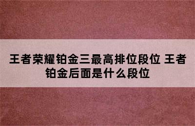 王者荣耀铂金三最高排位段位 王者铂金后面是什么段位